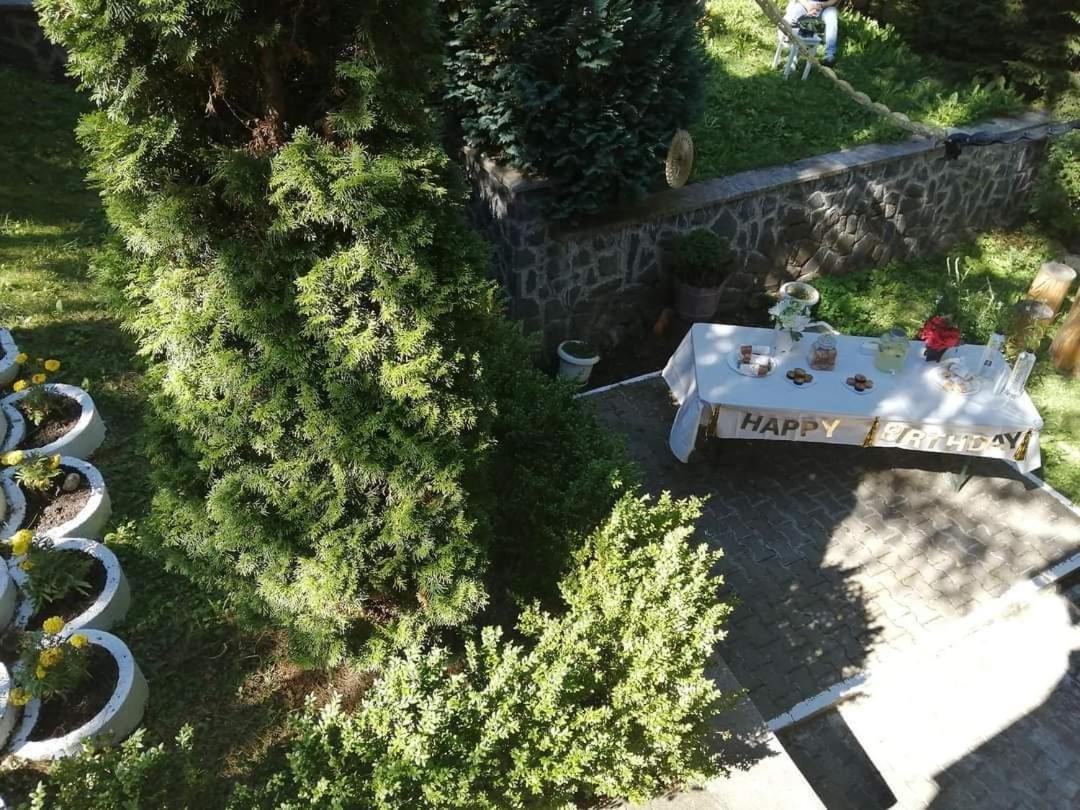 Pensiunea Colina Poiana Brasov Buitenkant foto