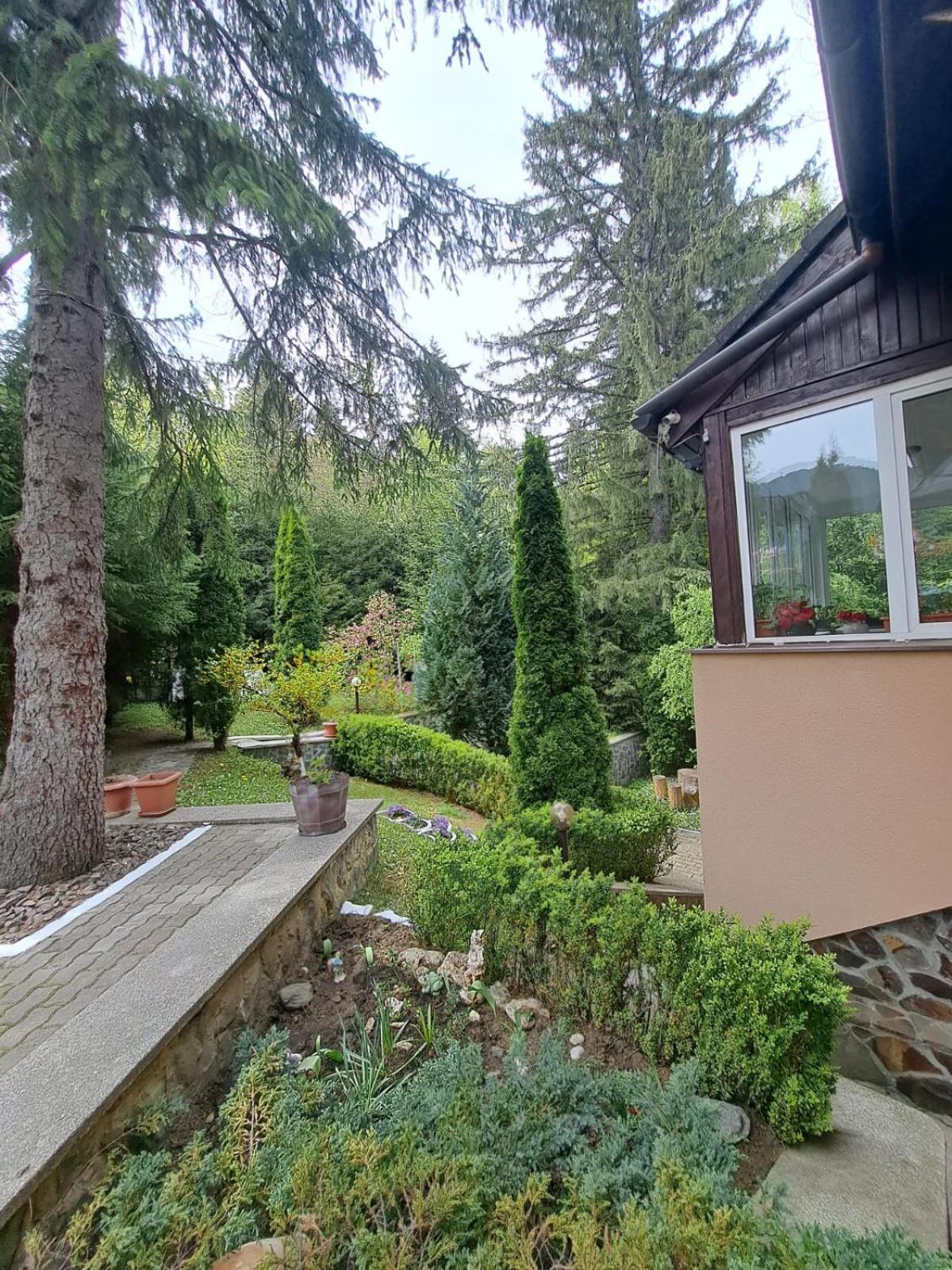 Pensiunea Colina Poiana Brasov Buitenkant foto