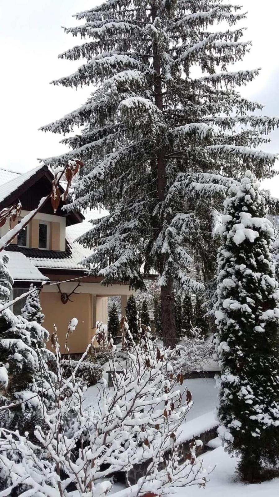 Pensiunea Colina Poiana Brasov Buitenkant foto