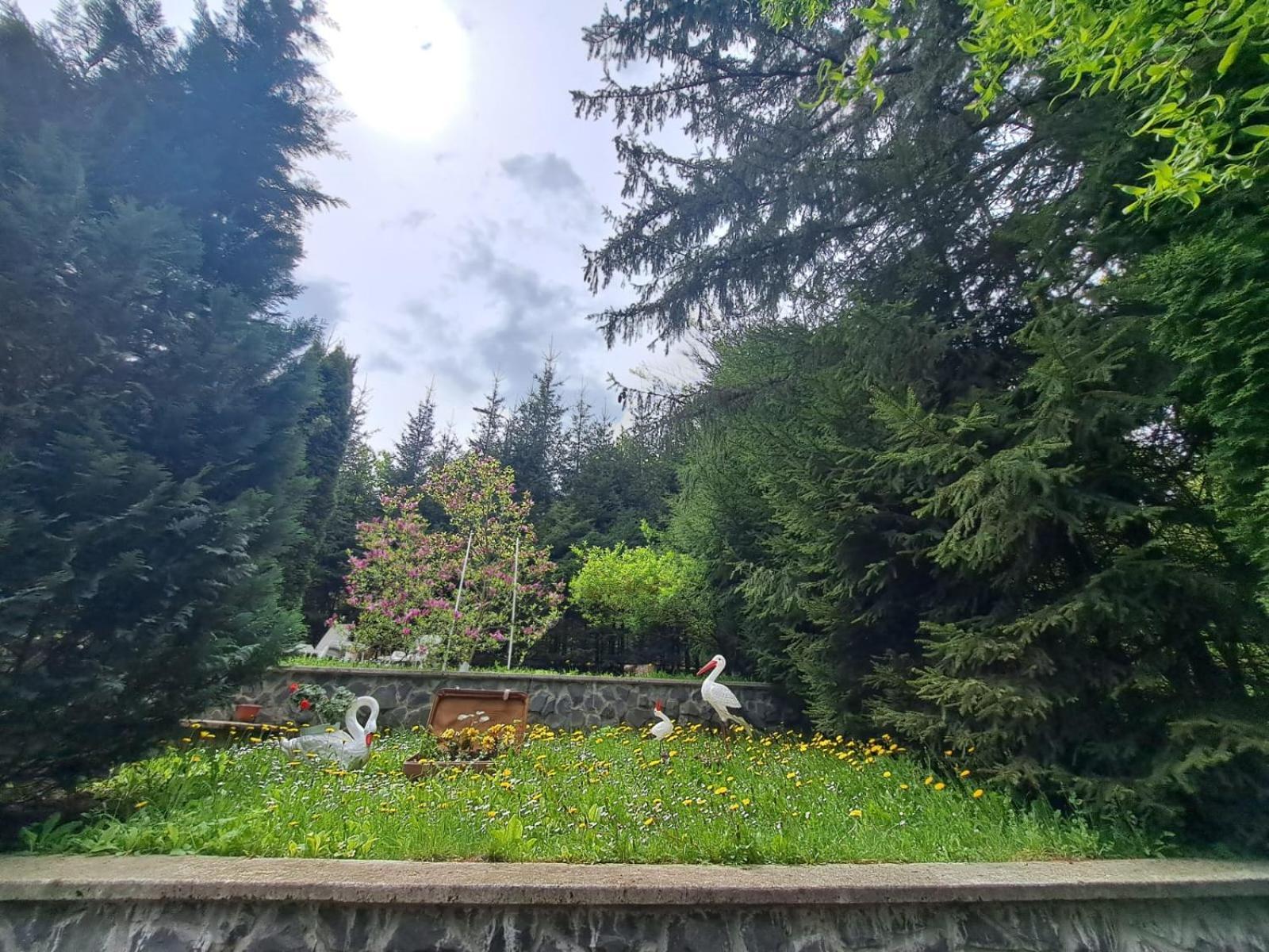 Pensiunea Colina Poiana Brasov Buitenkant foto