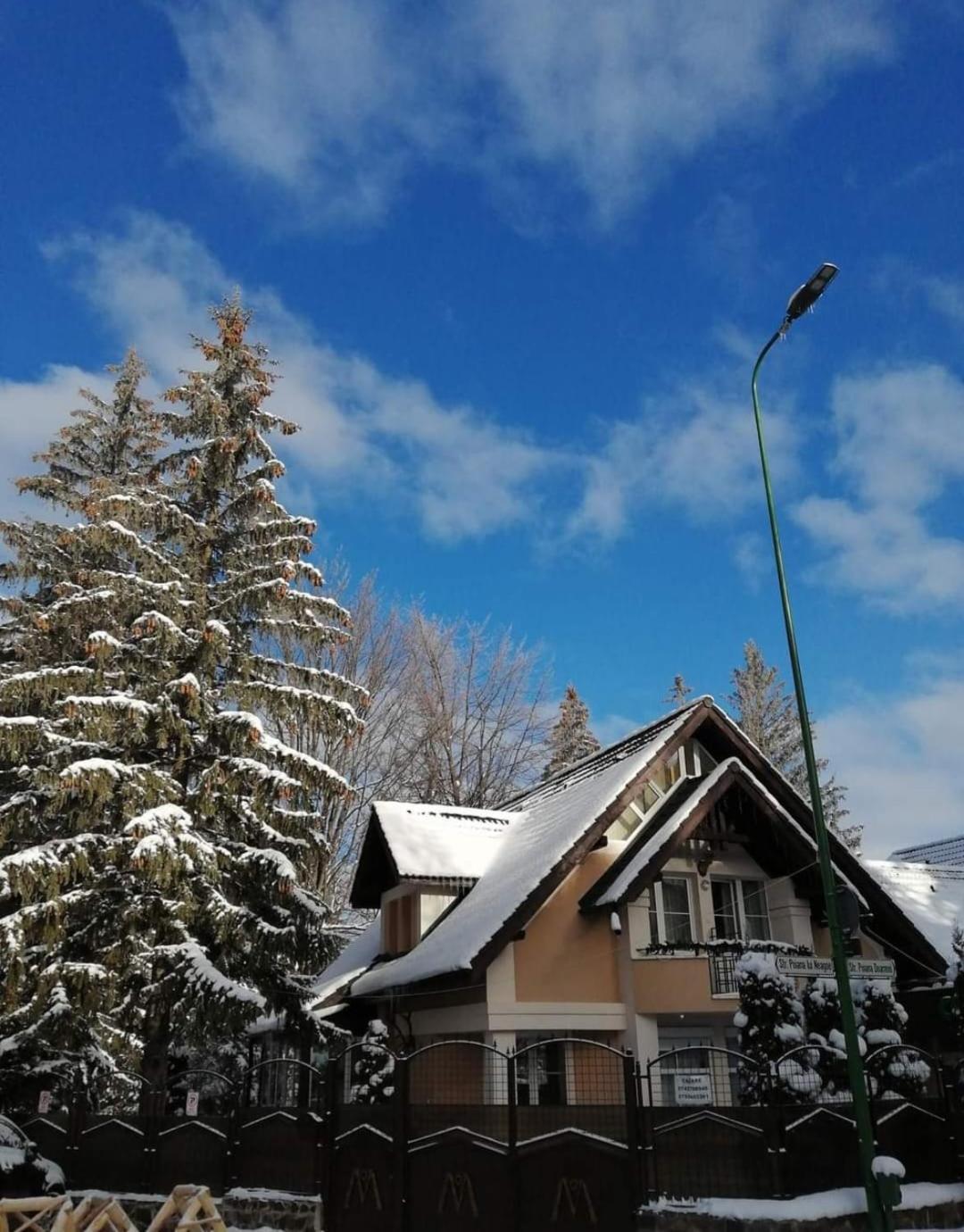 Pensiunea Colina Poiana Brasov Buitenkant foto