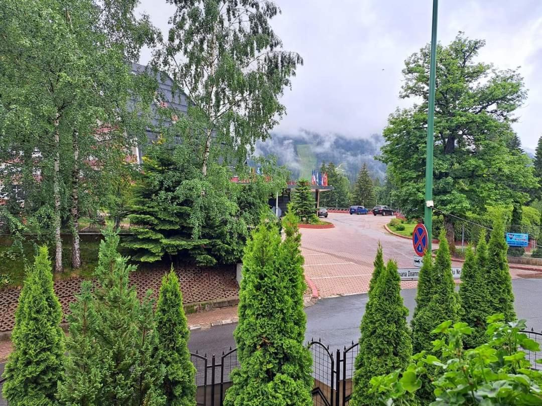 Pensiunea Colina Poiana Brasov Buitenkant foto