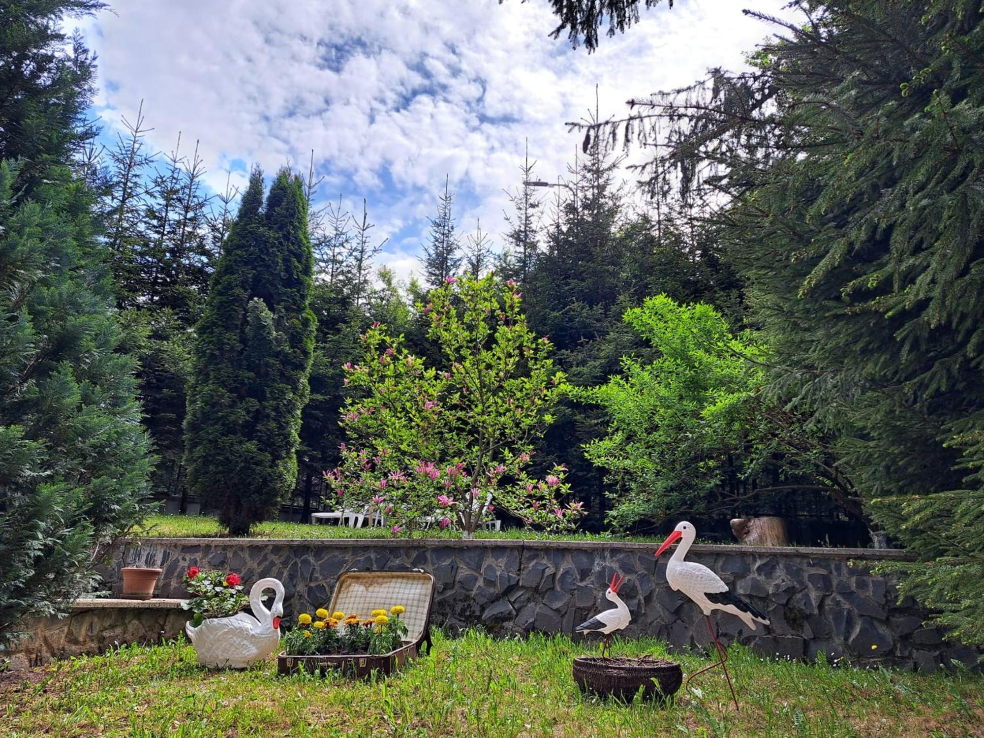 Pensiunea Colina Poiana Brasov Buitenkant foto
